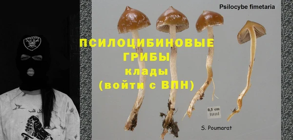 а пвп мука Алзамай