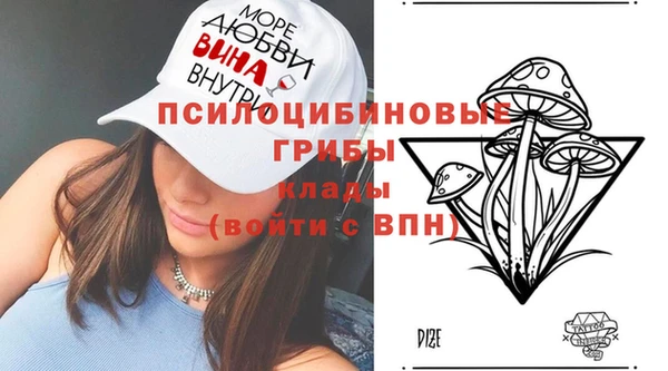 а пвп мука Алзамай