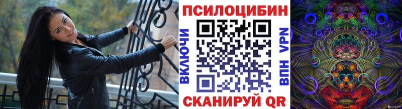 Галлюциногенные грибы Cubensis  купить   Чишмы 